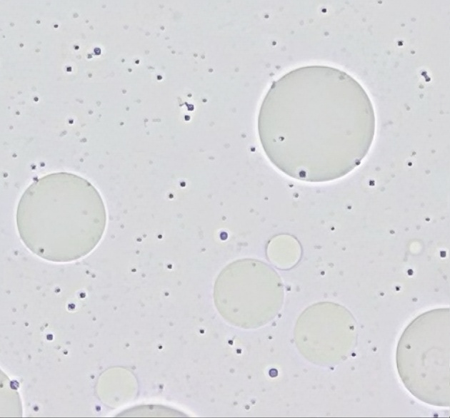 Traditional Emulsion